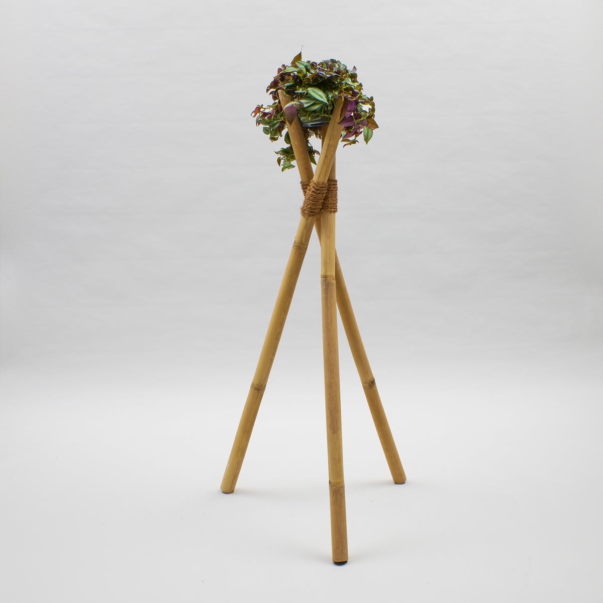 Bambusständer-Tripod mit Kokosfaserbindung und bepflanztem Topf 