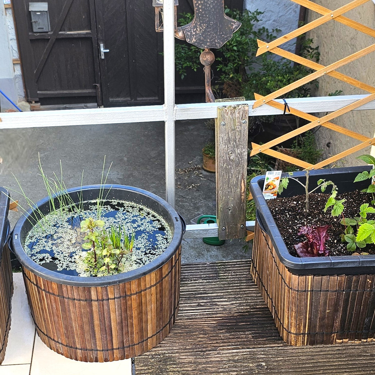 Bambusmatte als Einfassung für Terrassenpflanzkübel und Miniteich, braune Bambusleisten mit Bindungen