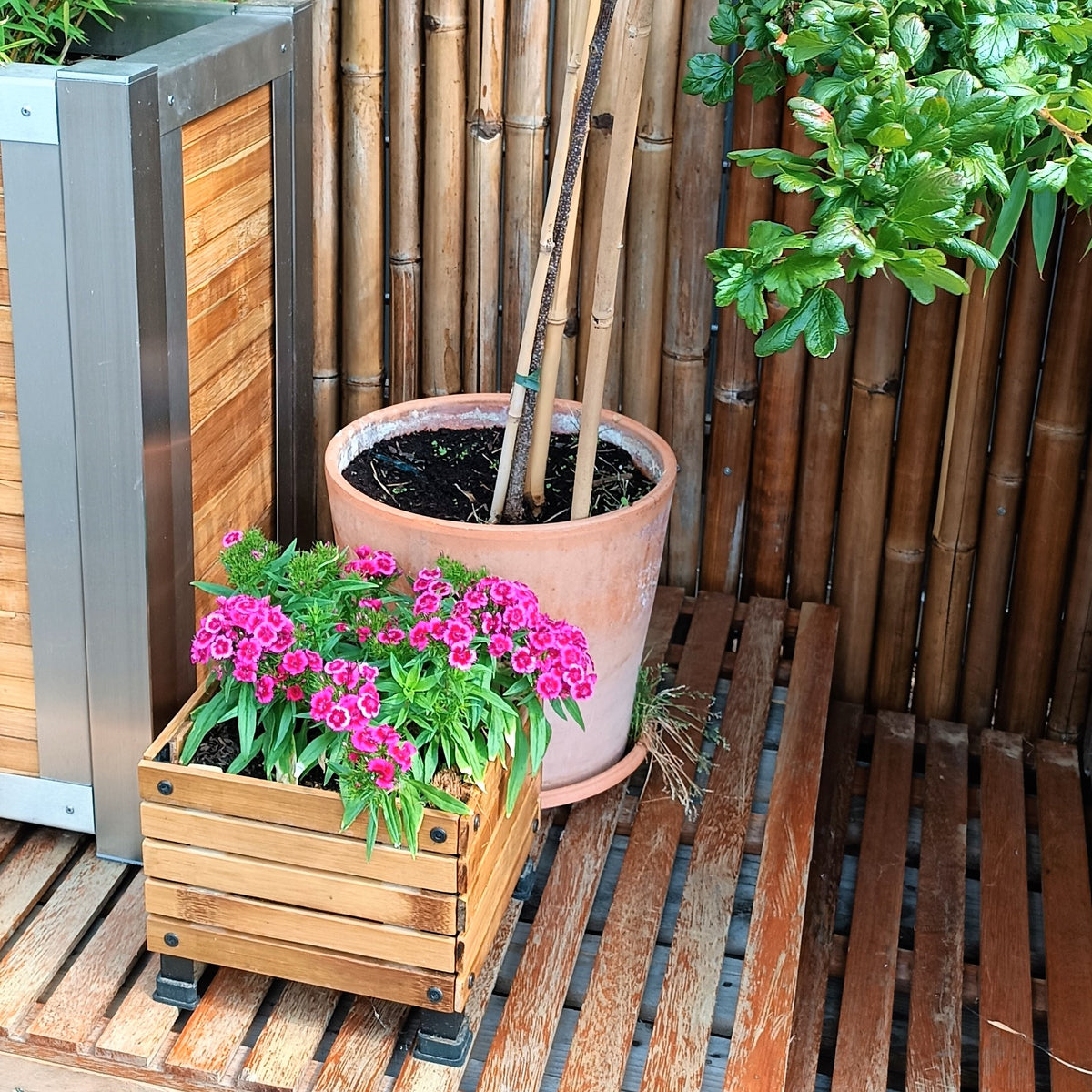 Bepflanzter quadratischer Bambus-Pflanzkasten mit Kokoseinsatz, in Kombination mit einem Blumentopf