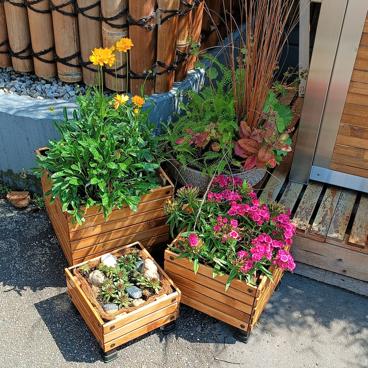 Quadratischer Bambus-Pflanzkasten, bepflanzt mit gelben und pinken Blumen, schwarze Standfüße