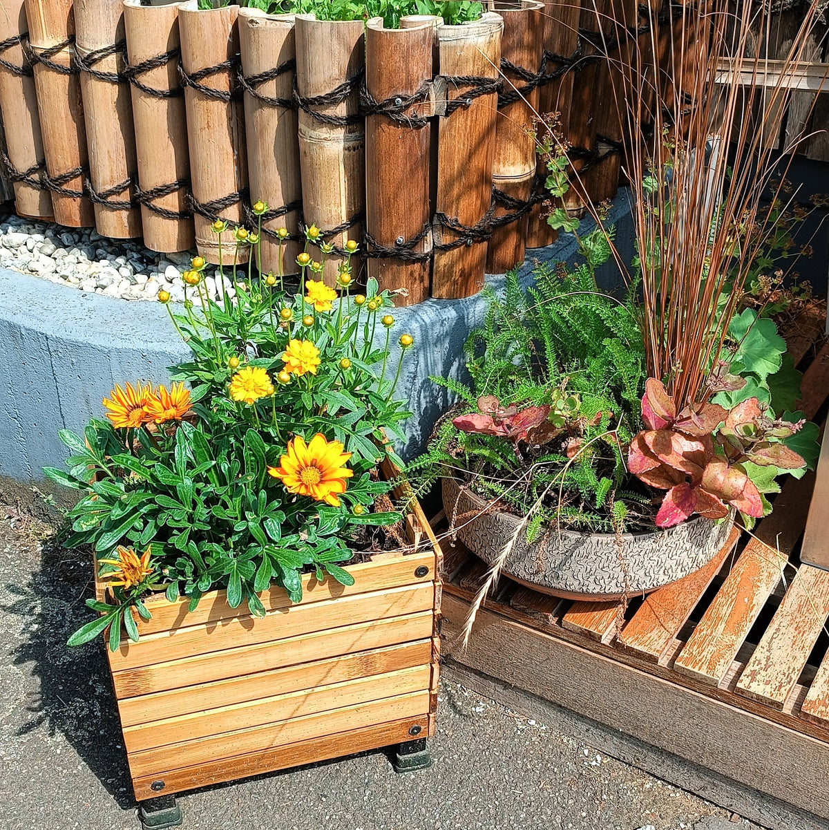 Quadratischer Bambus-Pflanzkasten mit Kokoseinsatz und schwarzen Füßen, bepflanzt mit bunten Blumen 