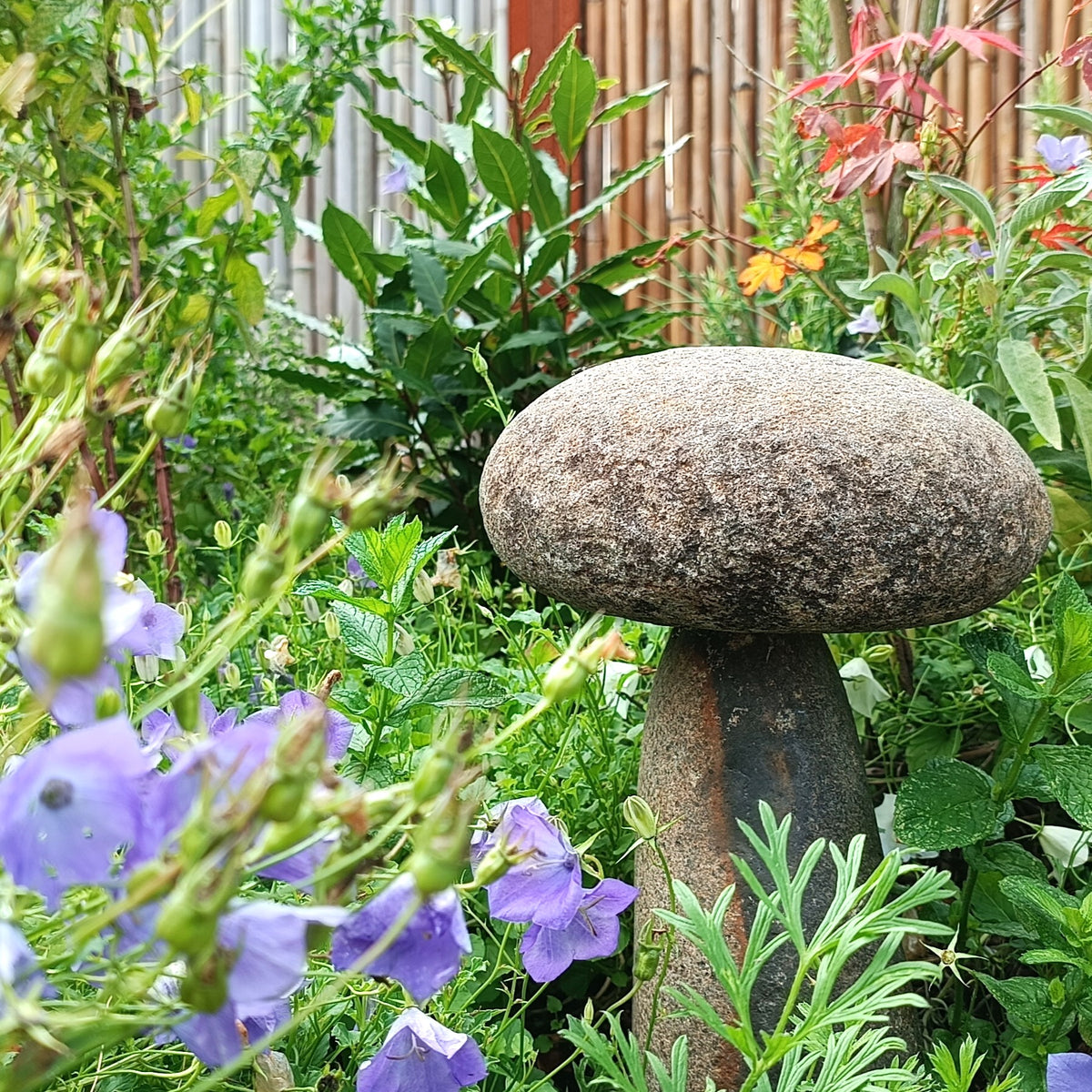 Pilz aus Flussstein, grau melierter Steinpilz zwischen Pflanzen