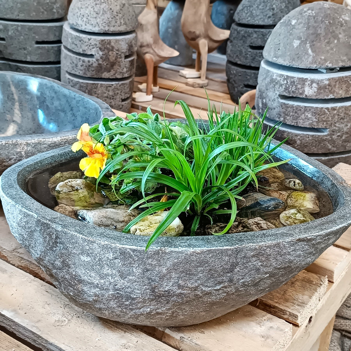 Mit Wasserpflanzen gestaltete Schale aus Flussstein, große graue Steinschale