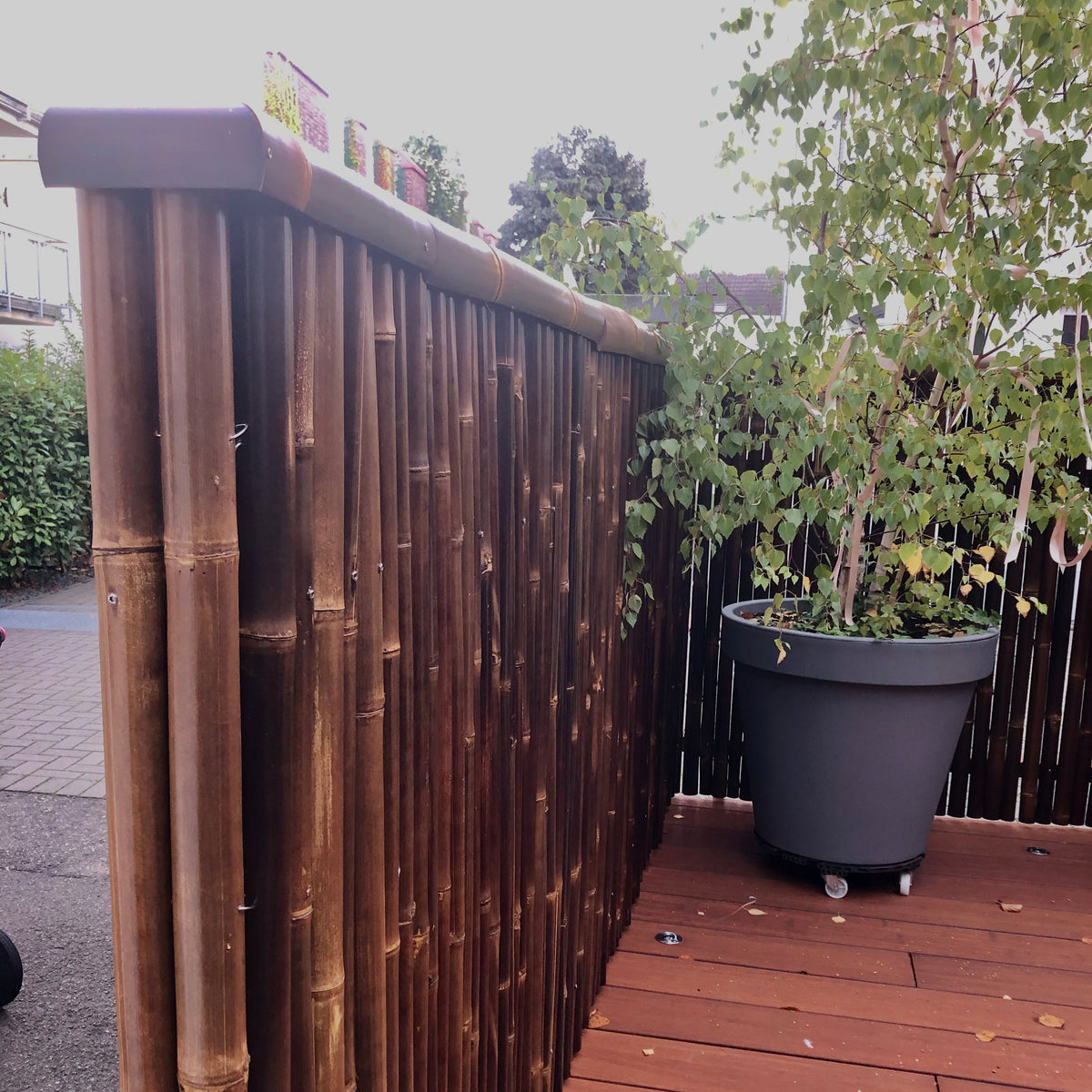 Rollmatte / Sichtschutz aus dunklem Bambus mit einem Dreiviertel-Bambusrohr als Zaunabdeckung